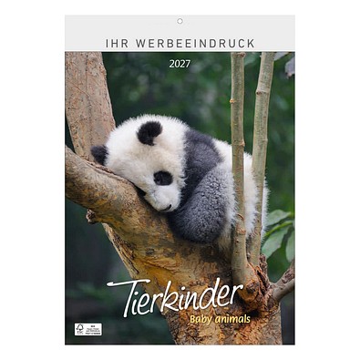 Bild-Wandkalender Tierkinder 2027