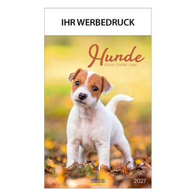 Bild-Wandkalender Hunde 2027