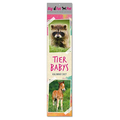 Bildstreifenkalender Tierbabys, 2027