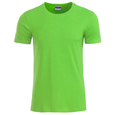 JAMES & NICHOLSON Herren T-Shirt Basic aus Bio-Baumwolle, hellgrün, L