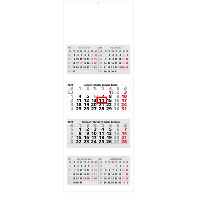 Geiger-Notes 6-Monats-Wandkalender 2027, inkl. Druck