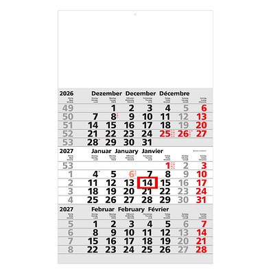 Werbe-Set: 150 Wandkalender 2027, inkl. Druck, hellgrau