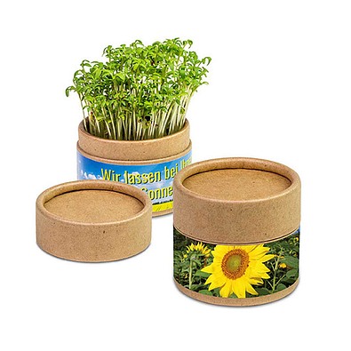 Pflanz-Cup inkl. Samen - Ostern - Sonnenblume, inkl. Druck, individuell