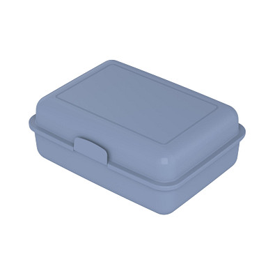 Vorratsdose School-Box groß, kornblume