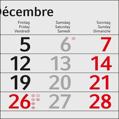 Geiger-Notes Monatskalender Budget 3 green+blue, inkl. Druck, rot