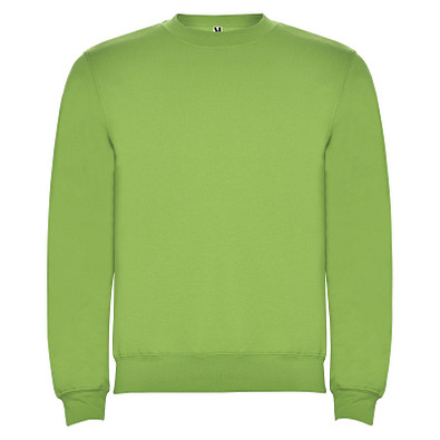Clasica Sweatshirt mit Rundhalsausschnitt Unisex, Oasis Green, XL
