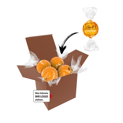 Color Lindor Box - Braun - Karamell
