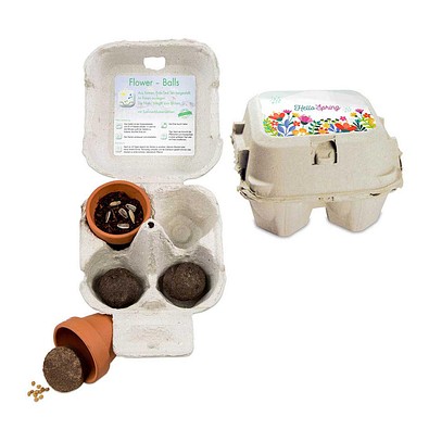 Das Grüne vom Ei, Green-Mix Box, Eierbaumsamen, 1-seit. Druck