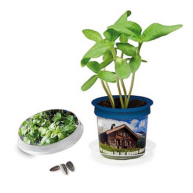 Florero-Töpfchen mit Samen, blau, Kräutermischung, 1-seit. Druck