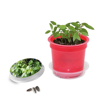 Florero-Töpfchen mit Samen, rot, Kräutermischung, 1-seit. Druck