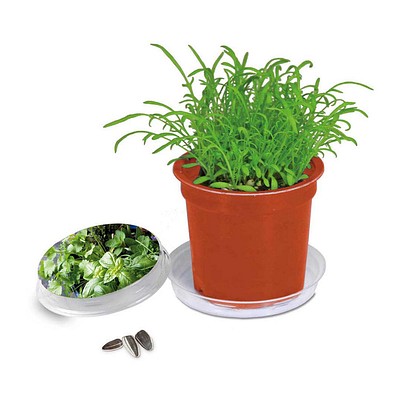 Florero-Töpfchen mit Samen, terracotta, Kräutermischung, 1-seit. Druck