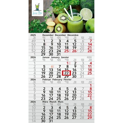 Geiger-Notes Monatskalender Budget 4 green+blue, inkl. Druck, rot