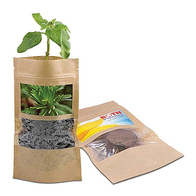 Grünes aus der Tüte mit Samen, Fichte, 1-seit. Druck