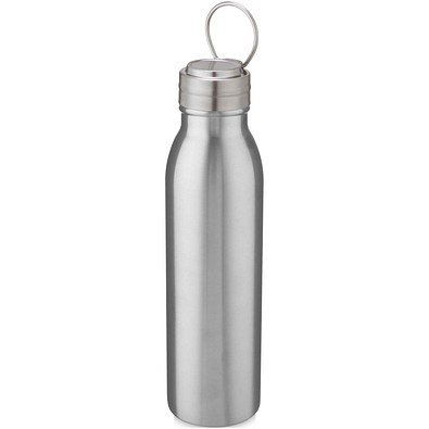 Harper 700 ml Sportflasche aus Edelstahl mit Metallschlaufe, silber