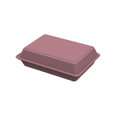 Menübox ToGo XL, ohne Trennstege, raffiniertes rot