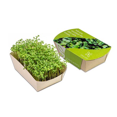 Microgreens-Gärtchen, Kresse, 1-seit. Druck
