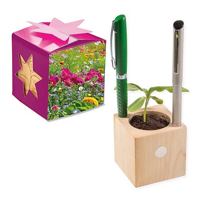 Pflanz-Holz Büro Star-Box mit Samen, Sommerblumenmischung, 1-seit. Druck