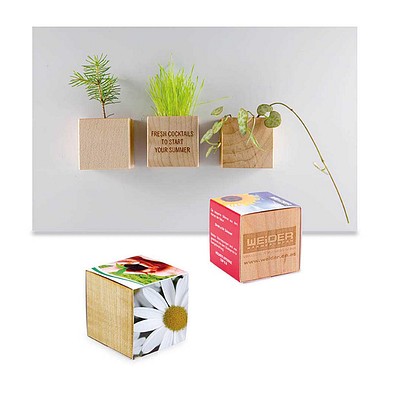 Pflanz-Holz Magnet mit Samen, Margerite, 1-seit. Druck