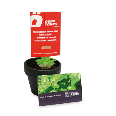 Pflanz-Stick, weiß, braun