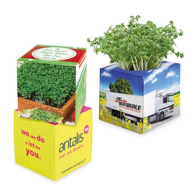 Pflanz-Würfel 2.0 mit Samen, Weihnachten, Gartenkresse, 1-seit. Druck