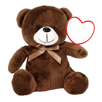 Plüsch-Bär RUBEN,braun