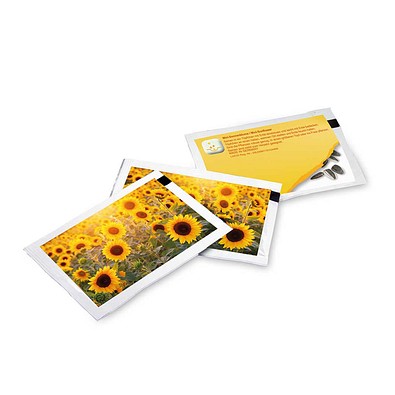 Samen-Briefchen, Standardmotiv, Sonnenblume