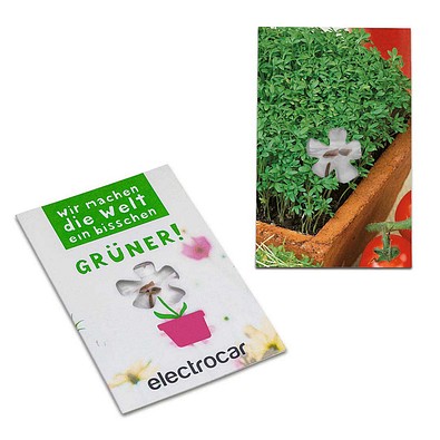 Samen-Karte-Mini Blume, Gartenkresse, 2-seit. Druck