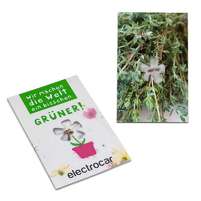 Samen-Karte-Mini Blume, Thymian, 2-seit. Druck