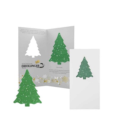 Samenpapier-Karte Fichte, Graspapier, 2-seit. Druck