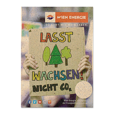 Samentütchen Mini - Graspapier - Basilikum, braun