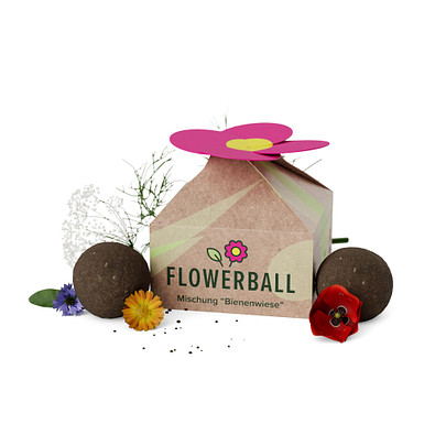 Seedbomb 3-er Set - Flower-Ball Bienenwiese , braun