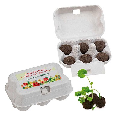 Sixpack, Flower-Balls Midi mit Samen mit Samen, 1-seit. Druck
