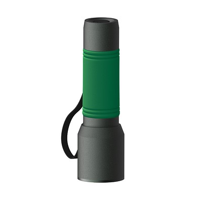 Taschenlampe REEVES-myFLASH 300, anthrazit/grün