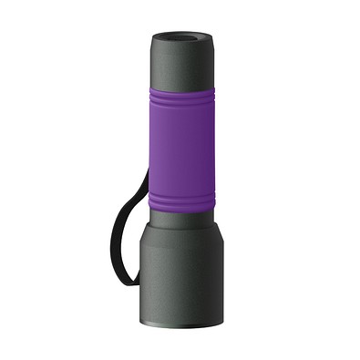 Taschenlampe REEVES-myFLASH 300, anthrazit/lila