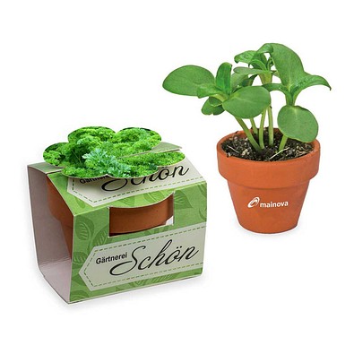 Tontöpfchen-Blume inkl. Samen - Petersilie, inkl. Druck, individuell