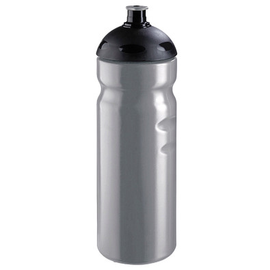 Trinkflasche Fit, 750 ml, silber