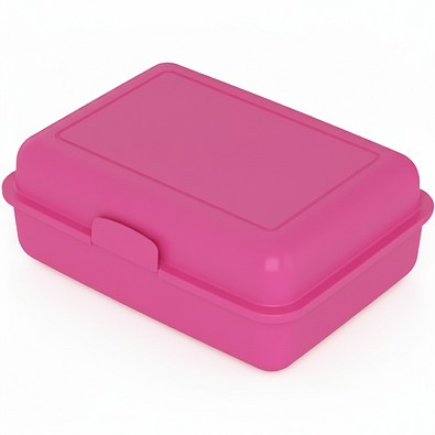 Vorratsdose School-Box groß, mit Trennschale, standard-pink