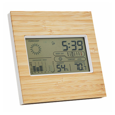 Wetterstation FORECAST,braun