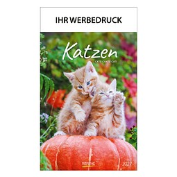 Bild-Wandkalender Katzen 2027