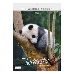 Bild-Wandkalender Tierkinder 2027