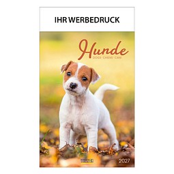 Bild-Wandkalender Hunde 2027