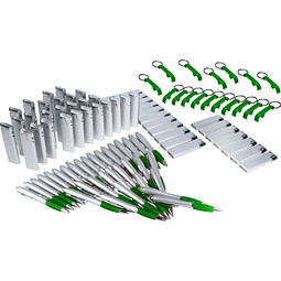 Werbe-Sparset, 300-tlg., inkl. Druck, silber/grün