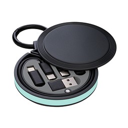 6-in-1 Ladekabel REEVES-myCONVERTICS, schwarz/mint