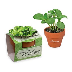 Tontöpfchen-Blume inkl. Samen - Ostern - Basilikum, inkl. Druck, individuell