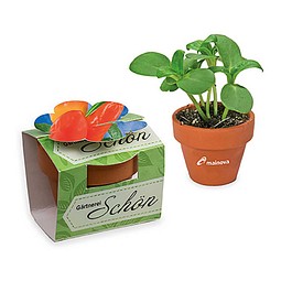 Tontöpfchen-Blume inkl. Samen - Gewürzpaprika, inkl. Druck, individuell