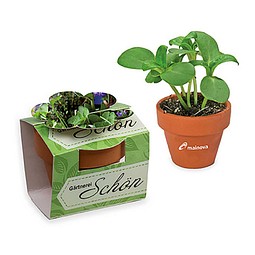 Tontöpfchen-Blume inkl. Samen - Kräutermischung, inkl. Druck, individuell