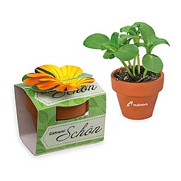 Tontöpfchen-Blume inkl. Samen - Ringelblume, inkl. Druck, individuell