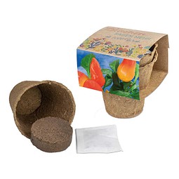 Anzucht-Set mit Samen, Ostern, Gewürzpaprika, 1-seit. Druck