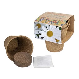 Anzucht-Set mit Samen, Ostern, Margerite, 1-seit. Druck