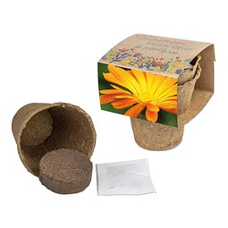 Anzucht-Set mit Samen, Ostern, Ringelblume, 1-seit. Druck